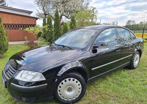 volkswagen skępe Volkswagen Passat cena 12400 przebieg: 206321, rok produkcji 2004 z Skępe